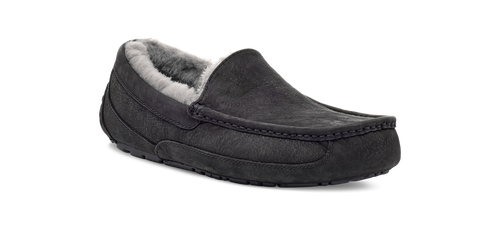 UGG Ascot Matte / Leather Slipper Men's