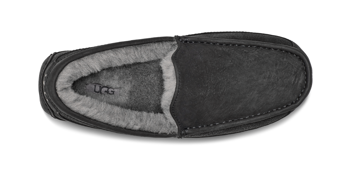 UGG Ascot Matte / Leather Slipper Men's
