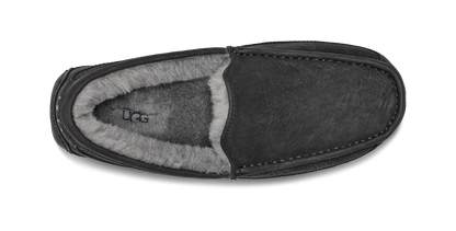 UGG Ascot Matte / Leather Slipper Men's
