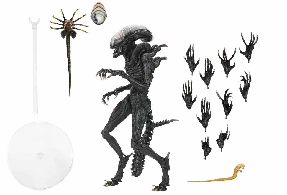 Alien Romulus 7 Inch Action Figure Ultimate - Scorched Xenomorph