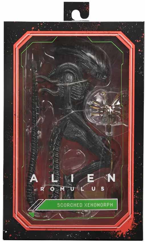 Alien Romulus 7 Inch Action Figure Ultimate - Scorched Xenomorph
