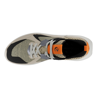 Ecco Biom 2.2 Low Men's